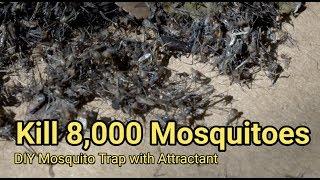 Mosquito trap DIY 8000 mosquito kill reduce ZIKA DENGUE MALARIA MaxxAir Fan CO2