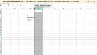 Next line in same box in Excel on a MAC or Windows laptop