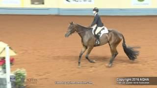 A Judges Perspective 2016 AQHYA Hunter Hack World Champion