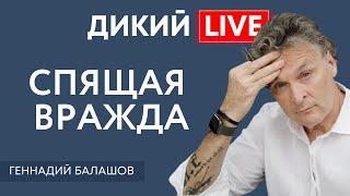 Раздупление или как закончить войну? Геннадий Балашов. Дикий LIVE.