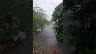 Soothing heavy rain calm ambience #ambience #rainyday #shorts #heavyrain