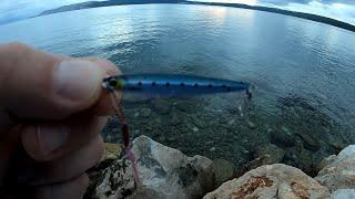 Micro Jigging on Major Craft Jigpara Slim 7gr. Adriatic Sea Selce