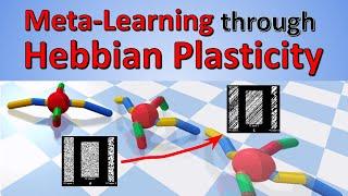 Meta-Learning through Hebbian Plasticity in Random Networks Paper Explained