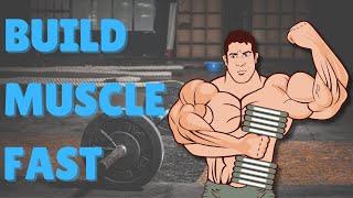 The Simple Guide to Muscle Building