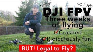 DJI FPV - Ridiculously FUN but Legal to Fly?