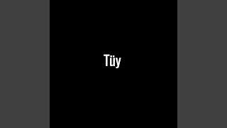 Tüy