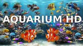 Entspannungsmusik Aquarium  Unterwasserwelt Musik zum Einschlafen und Meditieren  3h Full HD