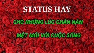 Stt hay cho những lúc chán nản mệt mỏi với cuộc sống