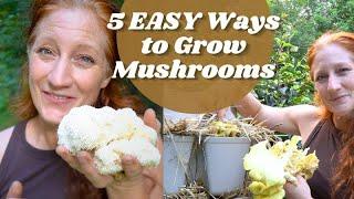 5 Ways to Grow Mushrooms Using Mushroom Grow Kits. Grow Bag Mushrooms Mushroom Grow Tent.