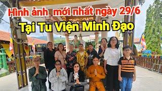 Cập Nhật Hình Ảnh Mới Nhất Ngày 296 Tại Tu Viện Minh Đạo