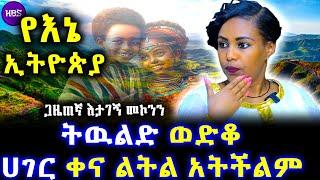 ትዉልድ ወድቆ ሀገር ቀና ልትል አትችልም  ጋዜጠኛ እታገኝ መኮንን