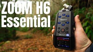 Testing the New Zoom H6 Essential