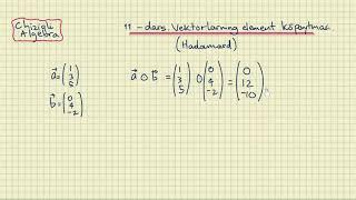 Chiziqli Algebra  11-dars  Vektorlarning element kopaytmasi.