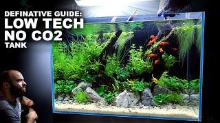 Definitive Guide Low Tech Low Budget No CO2 Detailed Aquascape Tutorial w Albino Cherry Barbs