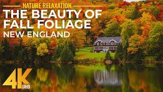 Most Scenic Fall Foliage Destinations of New England USA - 4K UHD Autumn Relaxation Video