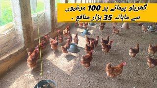 100 Lohman Brown Hens Complete Profit Report  Small Scale Hen Farming Business Idea  Layer Chicken