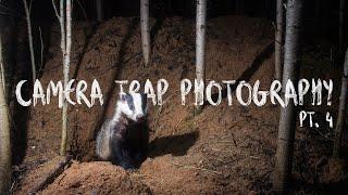 I FINALLY GOT THE PHOTO  Camera trap photography - part 4 With English subtitles