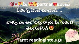 ‍️‍మీ partnerకరెంటు ఫీలింగ్స్ ఏంటి చూడండి....Tarot readingintelugu