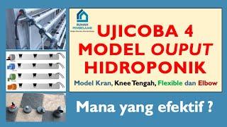 Ujicoba 4 Model Output Hidroponik Semi DFTNFT. Mana Yang efektif?