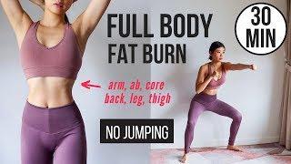 30 min Full Body Fat Burn HIIT NO JUMPING - Ab Core Arm Back Leg Thigh & Cardio  Emi