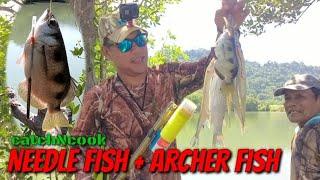 NEEDLE FISH + ARCHER FISH TiKSAY HUNTiNG CATCH&COOK