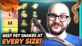 The Best Pet Snake At Every Size