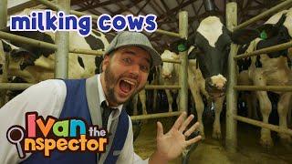 Ivan Inspects Milking Cows  Fun and Educational Videos for Kids and Toddlers