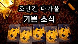 타로 조만간 다가올 기쁜 소식