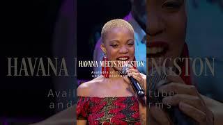  Havana Meets Kingston - El Cuarto De Tula Live at Royal Albert Hall - BBC Proms - OUT NOW