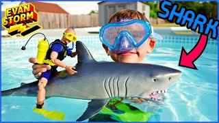 Evan Storms Shark WeekToy Divers Swimming Pool Learning Adventure