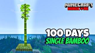 I survived 100 Days on a Single Bamboo in Minecraft Hardcore