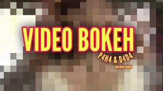 VIDEO BOKEH FULL HD 2022   chicken diner. 