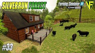 A New House and Sheep  Silverrun Forest  Farming Simulator 22