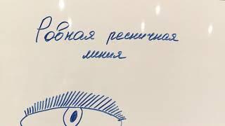 Работа рядами когда она уместна. Ровная ресничная линия