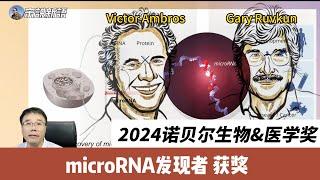 The Mighty Power of Tiny RNA The Story Behind the 2024 Nobel Prize in Medicine