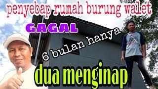 PENYEBAB RUMAH BURUNG WALET GAGAL 6 bulan hanya 2 menginap.