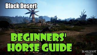 Black Desert Beginners Horse Guide  Buying Taming Gearing Best Skills How to Get