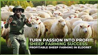 Millionaire Farmer Reveals Secrets Profitable Sheep Farming in Eldoret  Pure Breed Dopper Guide