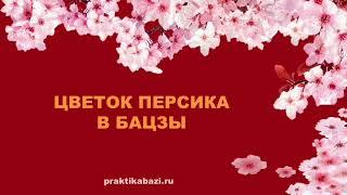 Цветок Персика    Символические  звезды в Бацзы