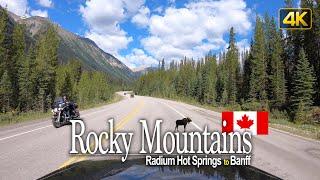 Driving through the Rocky Mountains from Radium Hot Springs to Banff  Canada Road Trip in 4K