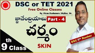 SKIN Structure DSC or TRT School assistantBiologyTET best free Online classes By Kiran Kodumuru