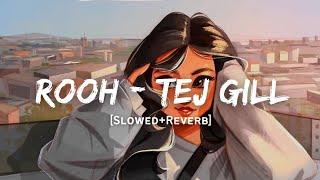 Rooh - Tej Gill Song  Slowed And Reverb Lofi Mix