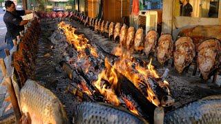 Amazing Iraqi Style Grilled Fish Around Charcoal and wood Fire  Erbil-Kurdistan Street Foods
