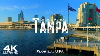 TAMPA  Drone Aerial 4K  Florida FL USA United States of America