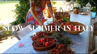 RENOVATING A RUIN Preserving Tomatoes in Italy Slow Summer Days Cottage Building Continues Ep 58