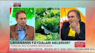 LAHANANIN Faydaları Nelerdir   Prof  İbrahim Saraçoğlu ile Sağlıklı Yaşam