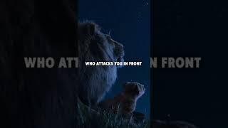 DONT FEAR YOUR ENEMY  Lion Attitude whatsApp status motivation whatsApp status