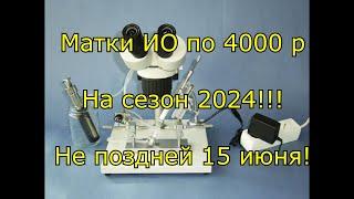 Матки инструментального осеменения на сезон 2024