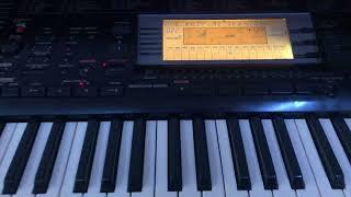 Yamaha PSR 630 -Две розы  