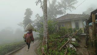 Kampung Ini Mendadak Viral Suasana Pagi Yang Tenang di Pedesaan Sunda Hujan dan Kabut Nambah Indah